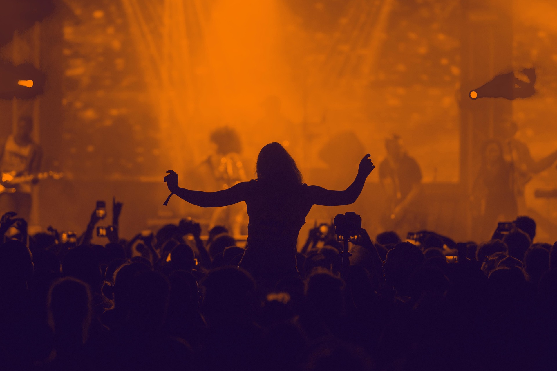 Crowd cheering at a live concert