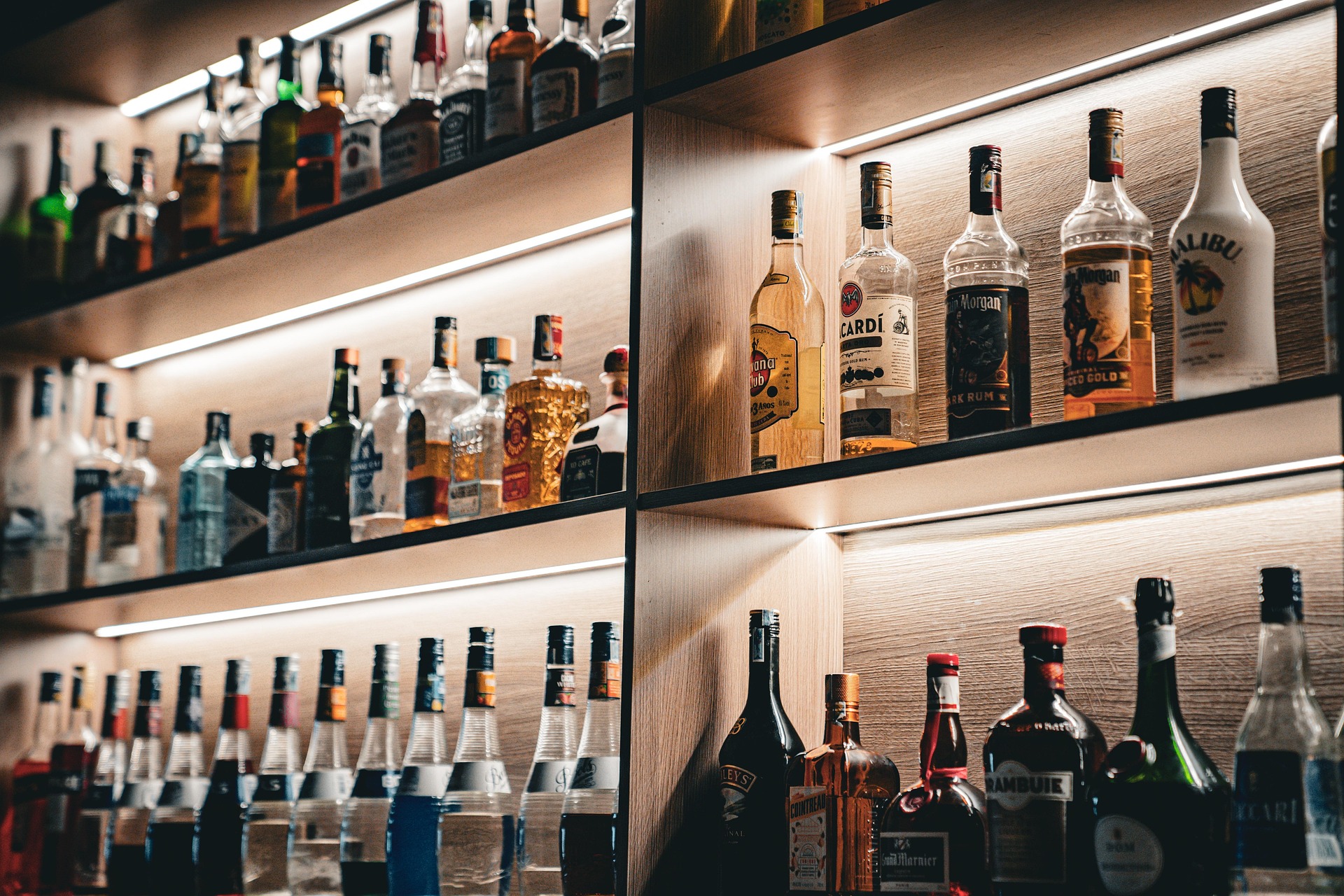 Bloom Street bar lined with bottles and warm lighting
