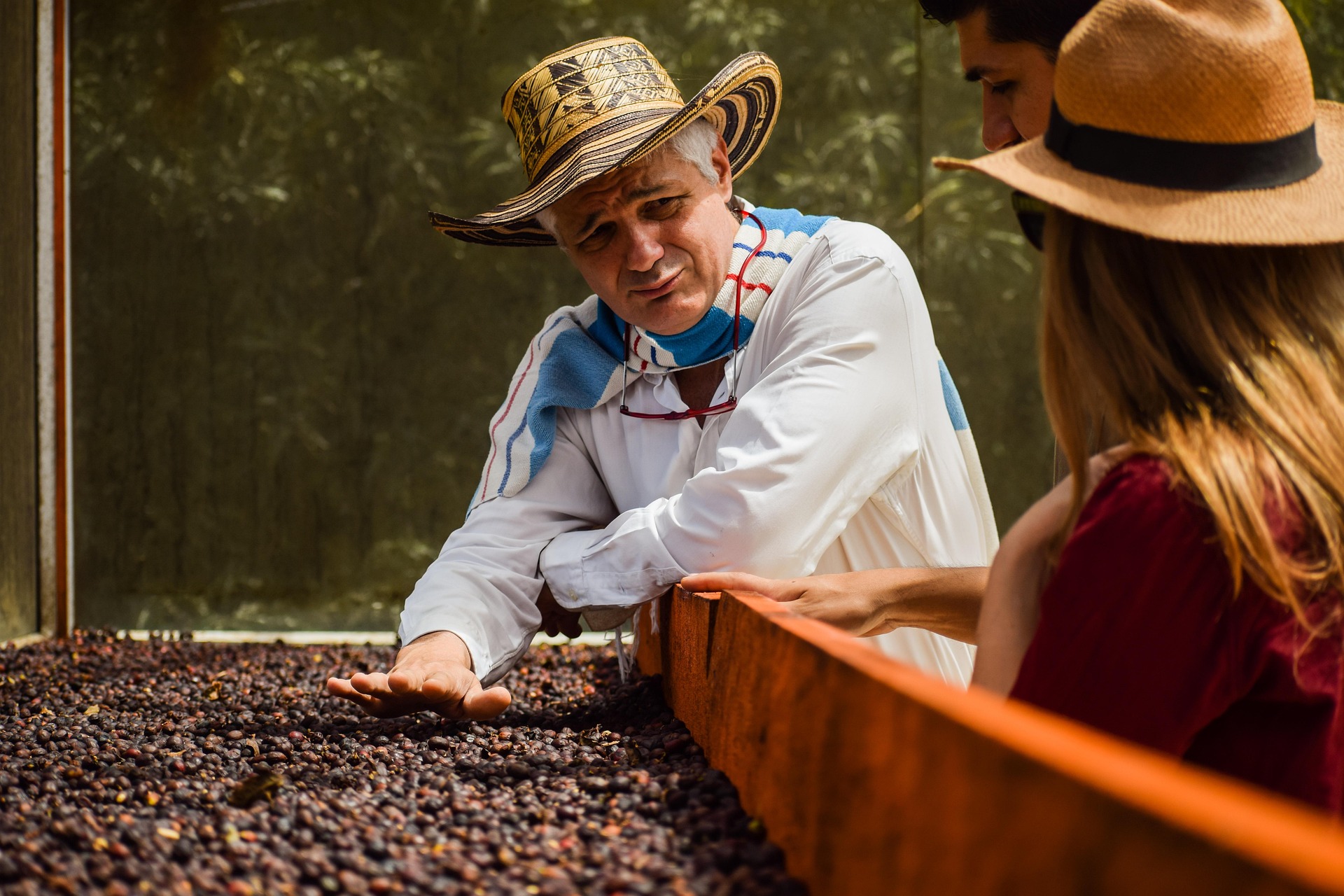 Coffee farmer sorting washed beans
